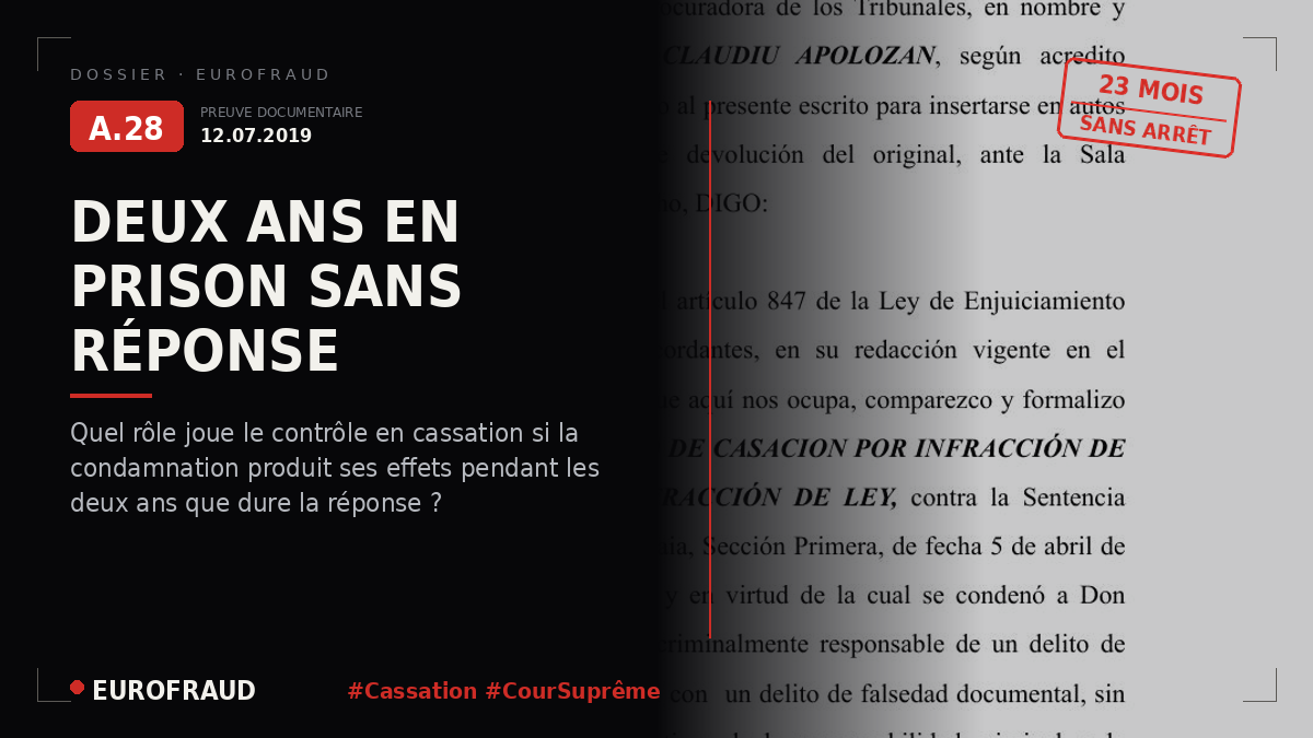 Pourvoi en cassation, du 12 juillet 2019, formé pour le compte du requérant
